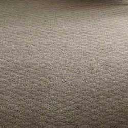 Brown Twist Carpet